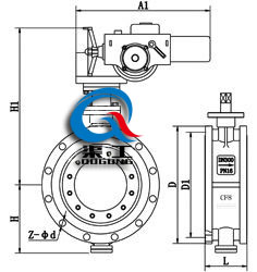 D941X電動(dòng)法蘭蝶閥 (配DZW執(zhí)行器)