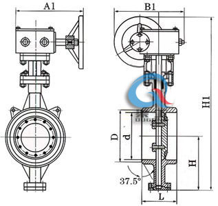 D363H硬密封焊接蝶閥 (結(jié)構(gòu)圖)